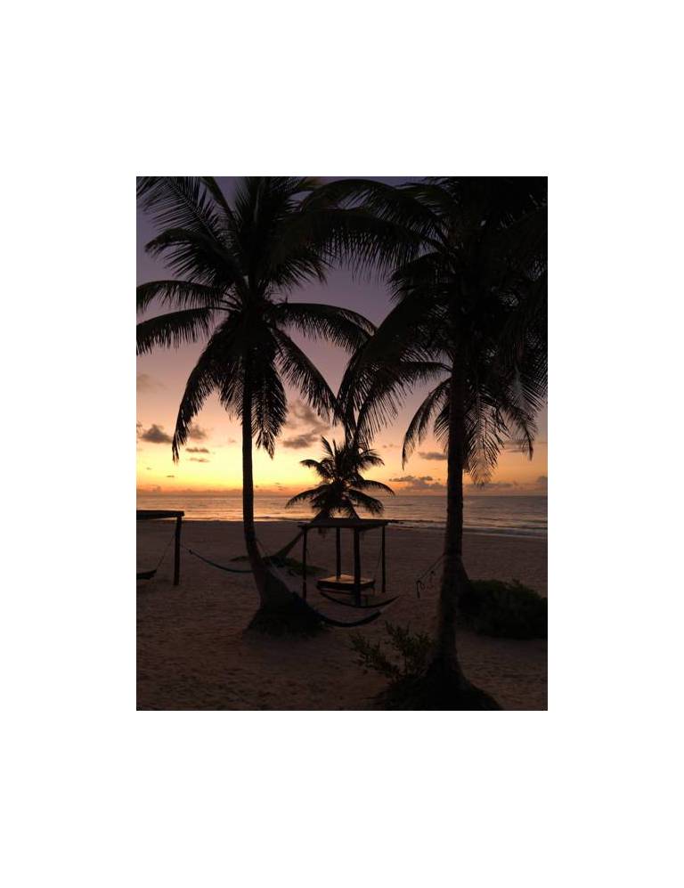 Hemingway Romantic Eco Resort 