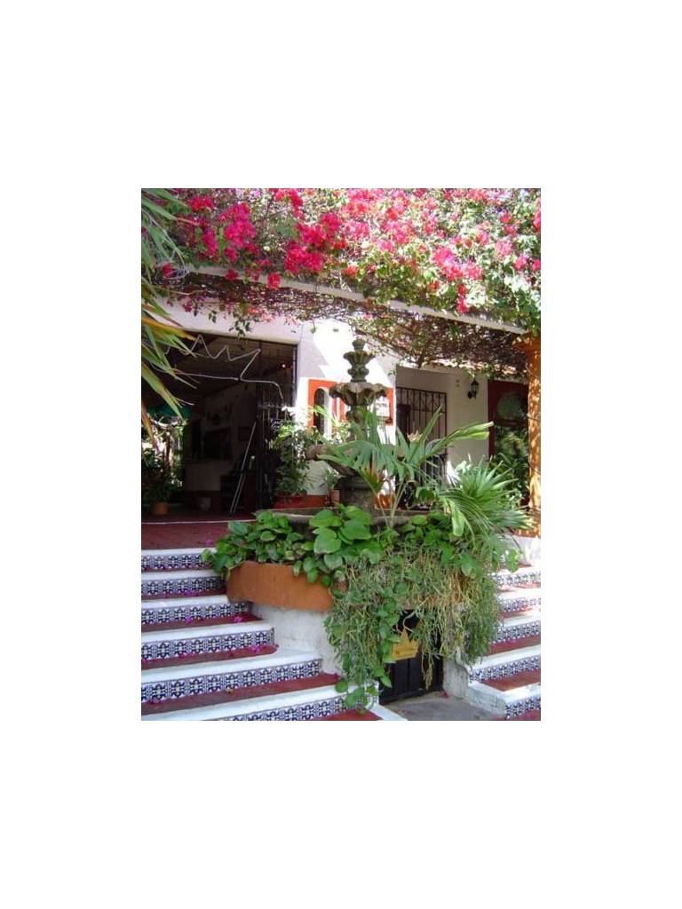 Eco-hotel El Rey del Caribe 