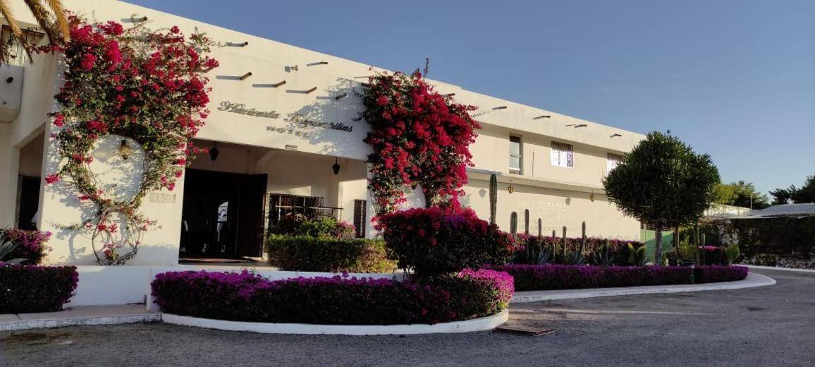 Hotel Hacienda Bugambilias  4* Мексика, Ла-Пас