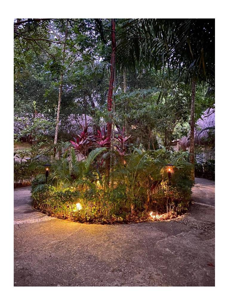 Piedra de Agua Palenque 
