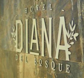 Туры в Hotel Diana del Bosque в Мексике