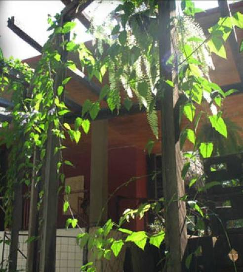 Yaxkin Hostel-Palenque  3* Мексика, Паленке