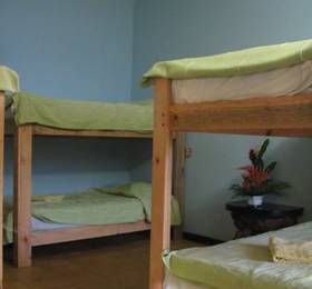 Туры в Yaxkin Hostel-Palenque  в Мексике