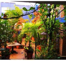 Туры в Suitel 522 Eco Hostel в Мексике