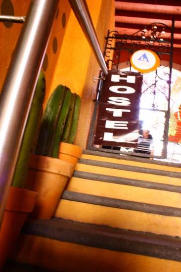 Tequila Sunset Hostal  Мексика, Морелия