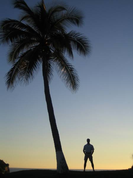 Dolphin Cove Inn  4*