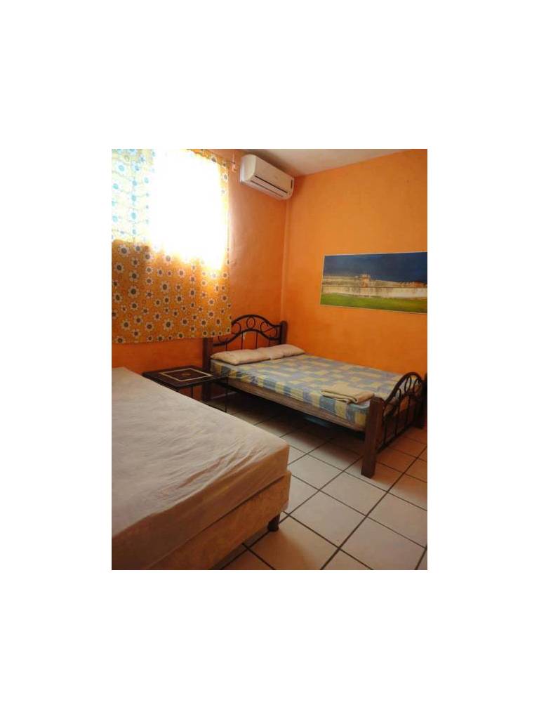 Monkey Hostel 