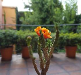 Legado Mitico Salta Hotel Boutique  в Сальте
