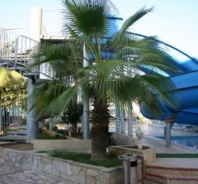 Отдых в Sevim Hotel - Турция, Аланья
