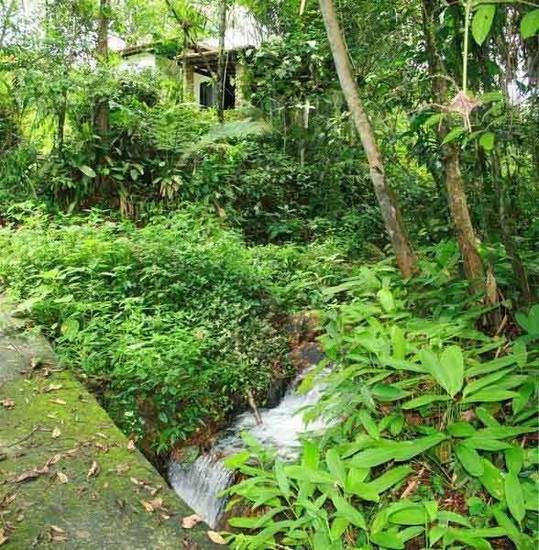 Cachoeira Azul Resort Pousada  Бразилия, Парати