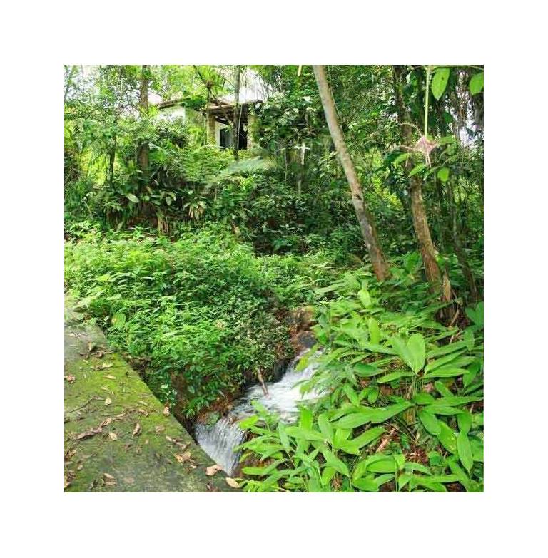 Cachoeira Azul Resort Pousada 