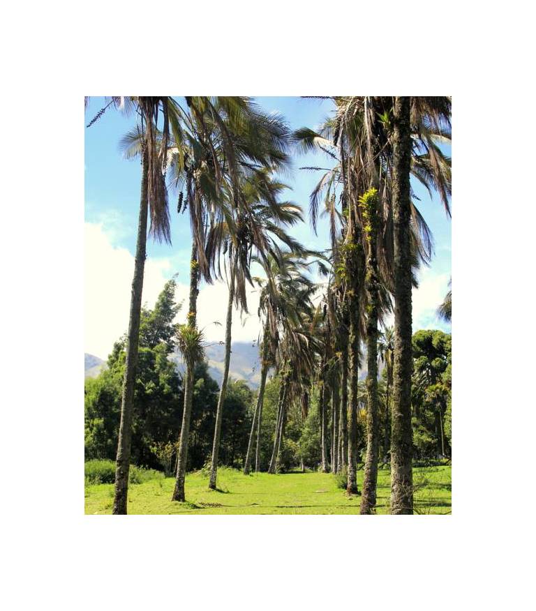 Hosteria Hacienda Pinsaqui 
