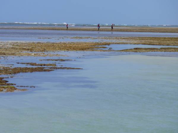 Pousada Encontro das Aguas 