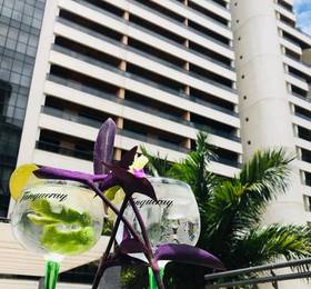 Bonaparte Bluepoint Hotel  в Бразилиа