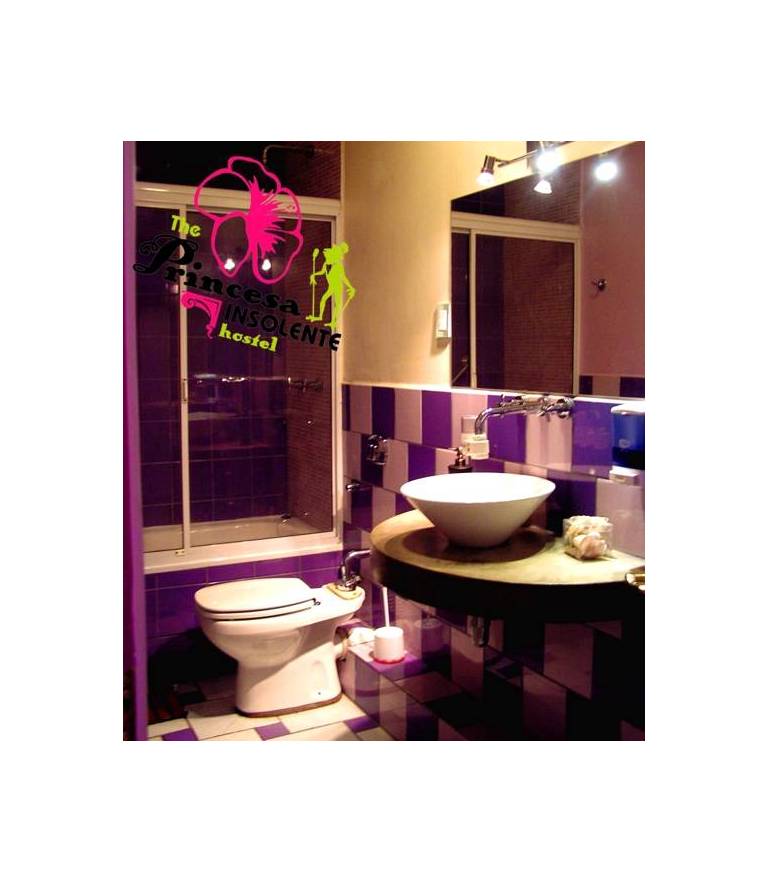 Princesa Insolente Hostel 