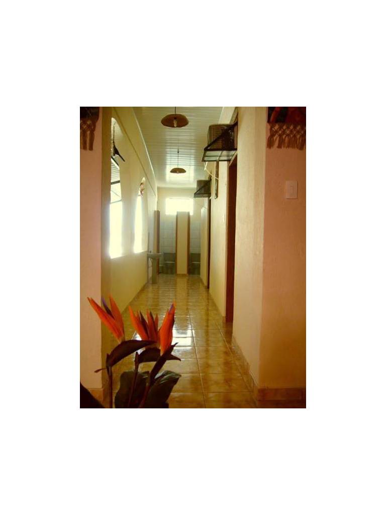 Manaus Hostel Trip Tour 