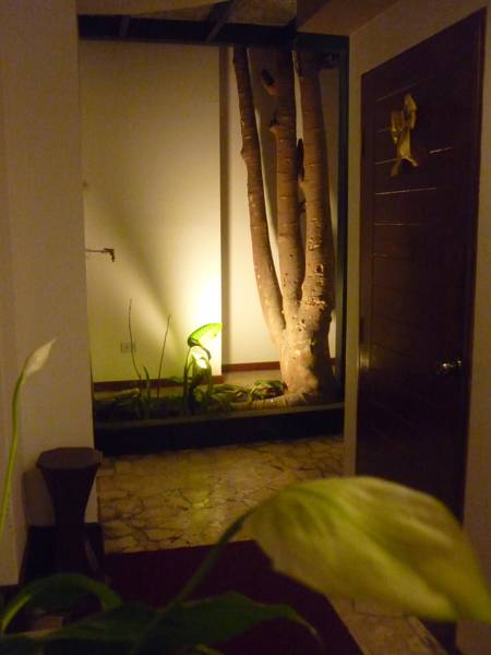Casa Bella Miraflores  2*