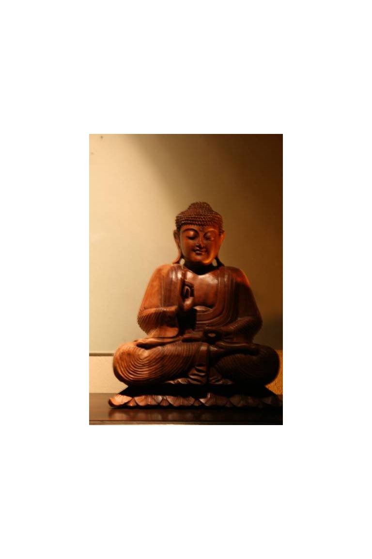 Bambu Bamboo Pousada 