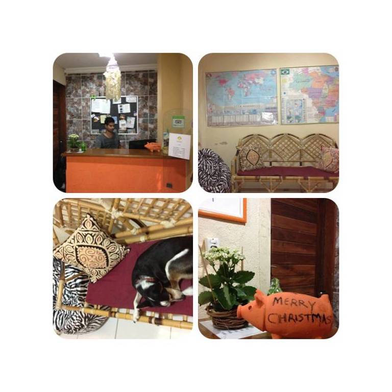 Rolling Stone Hostel 