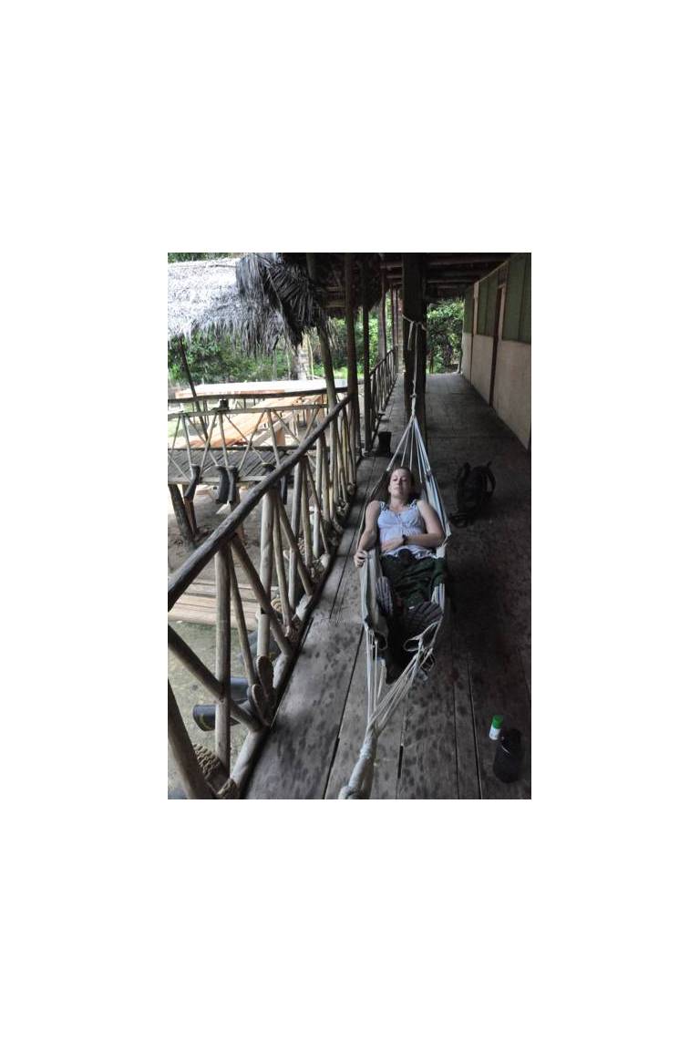 Amazon Dolphin Lodge 