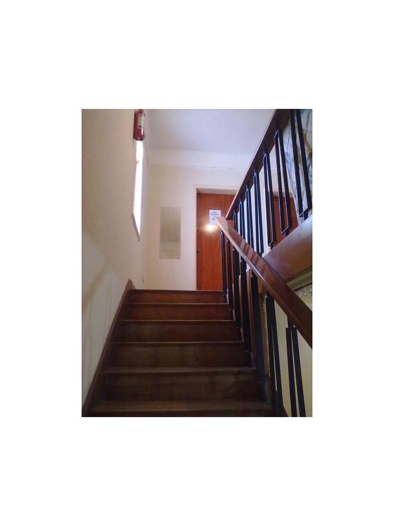 Hostal White House 
