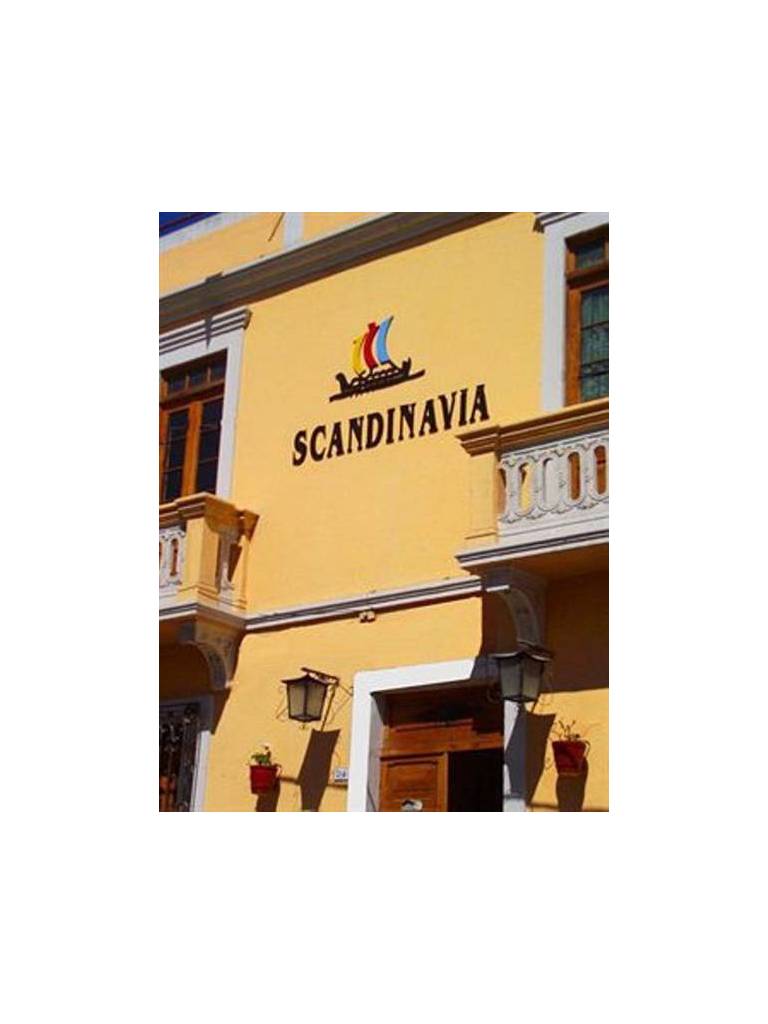 Scandinavia House 