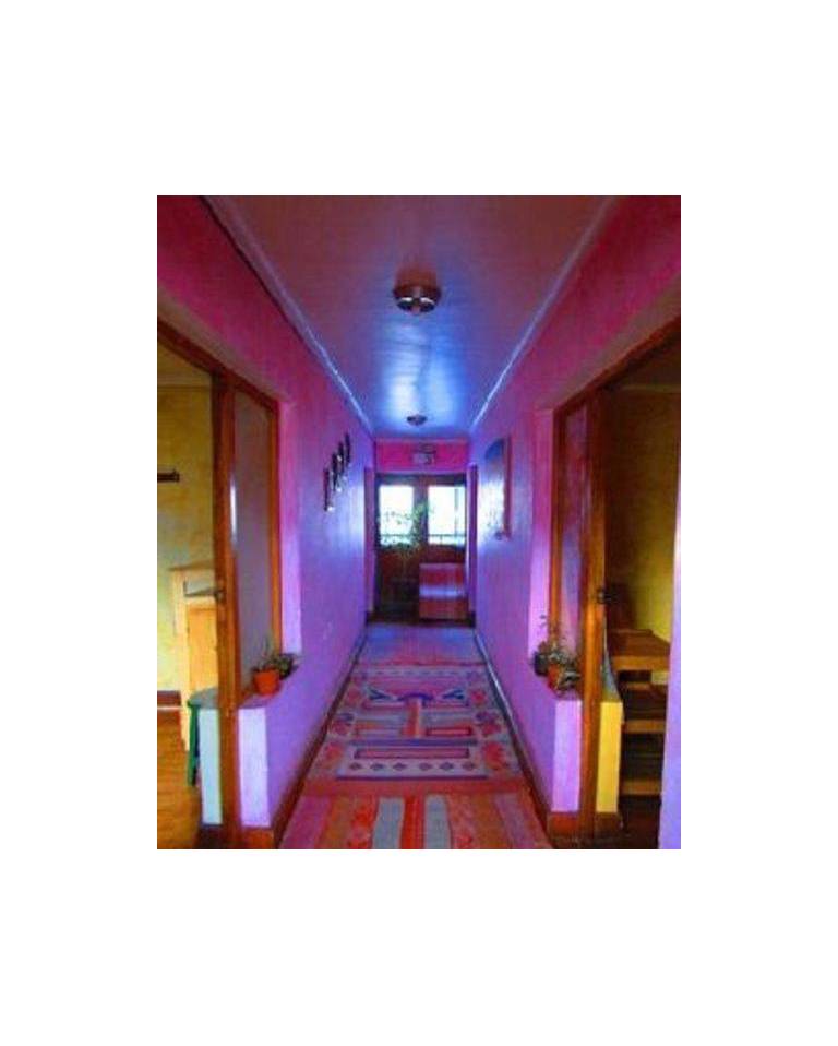 Hotel Pantastico 