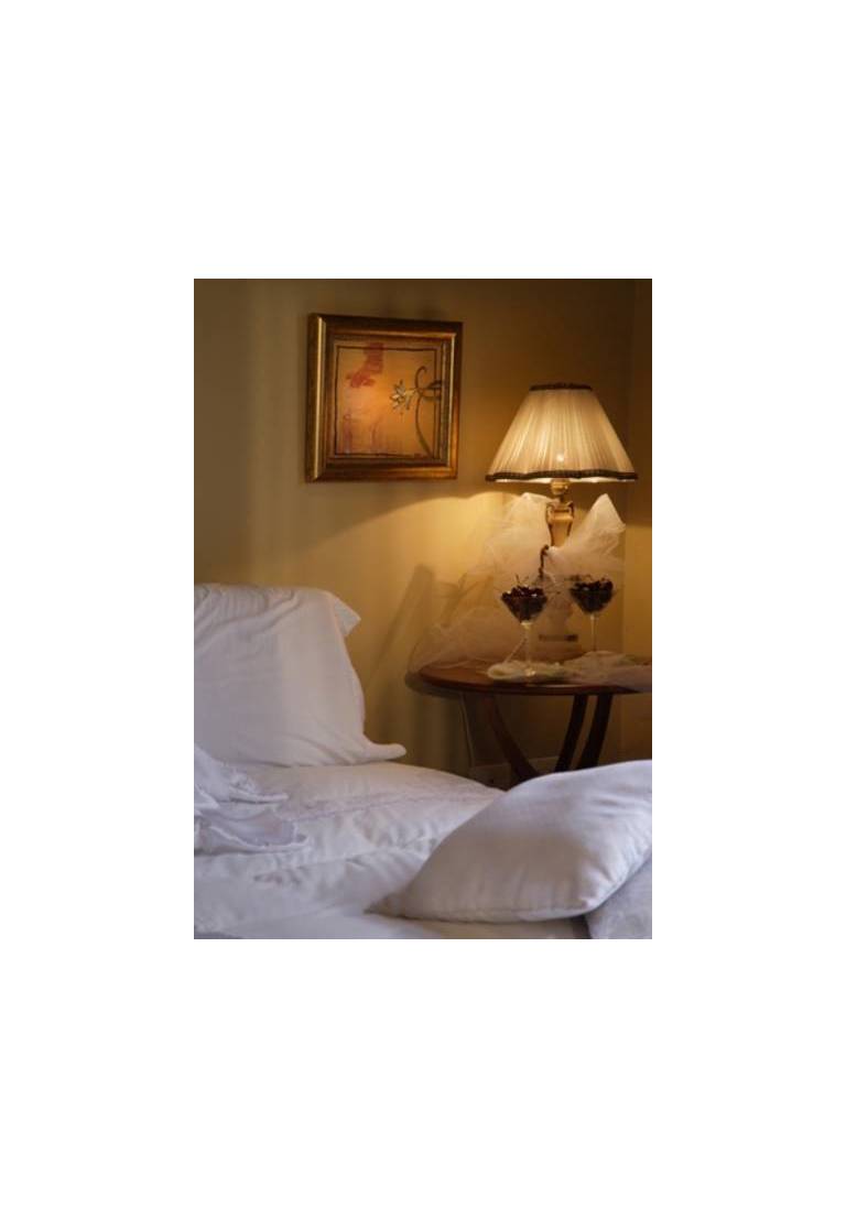 Hotel Carvallo 