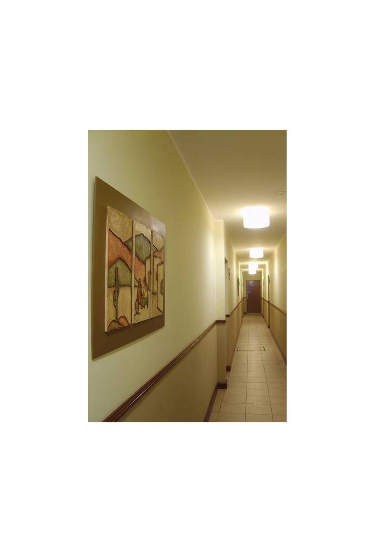 Hotel Shauard 