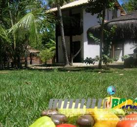MangoBrazil в Имбассаи