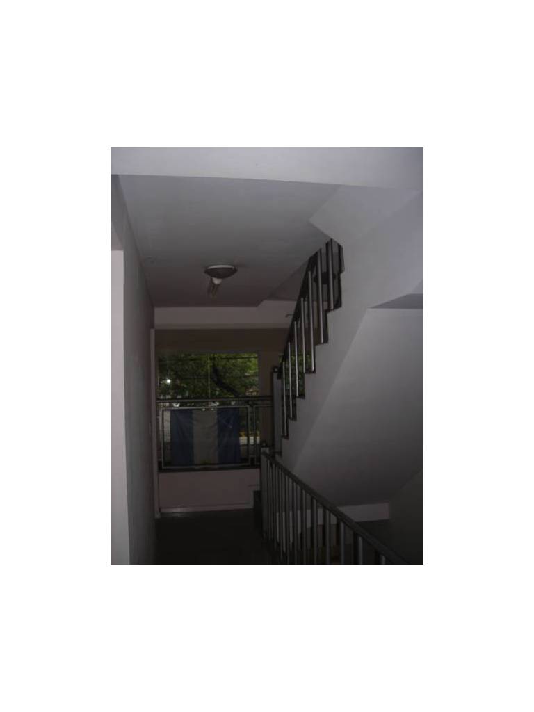 Pared Sur 