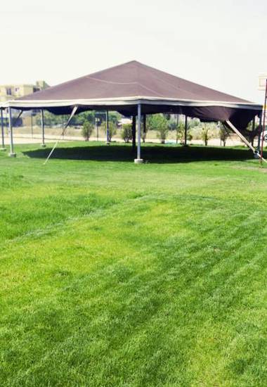 Therese Apart Otel & Kids Camp  Турция, Сиде