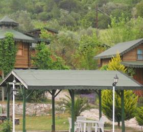 Olympos Daisy Pansiyon  в Олимпосе