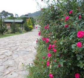 Отдых в Olympos Daisy Pansiyon  - Турция, Олимпос