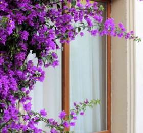 Туры в Royal Residence Apart  в Турции