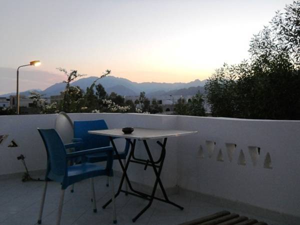 Sus & Erna Apartment  Египет, Дахаб