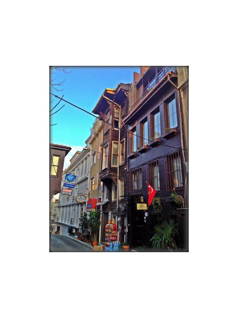 Naz Wooden House Inn