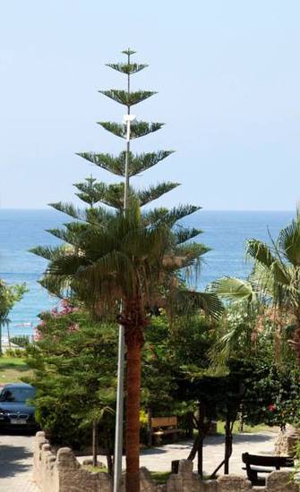 Livane Beach Hotel  Турция, Аланья