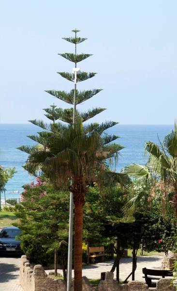 Livane Beach Hotel 