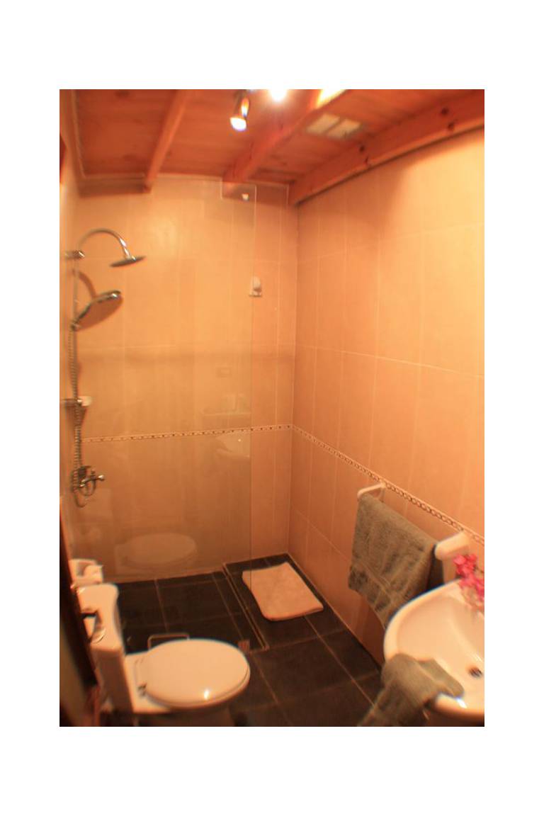 Octopus Apartment 