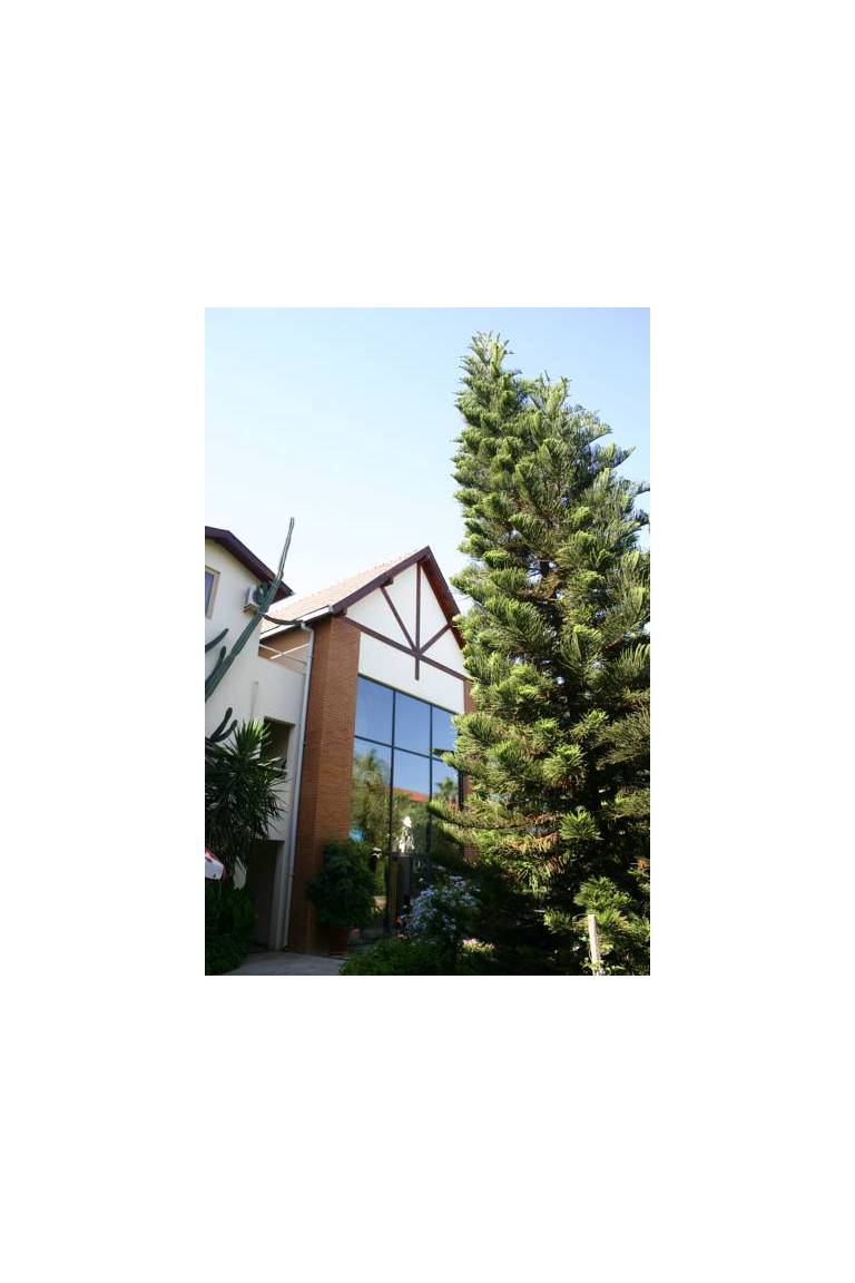 Kentia Apartments 