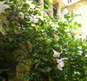 Отдых в Riad Lola Halima  - Марокко, Мекнес