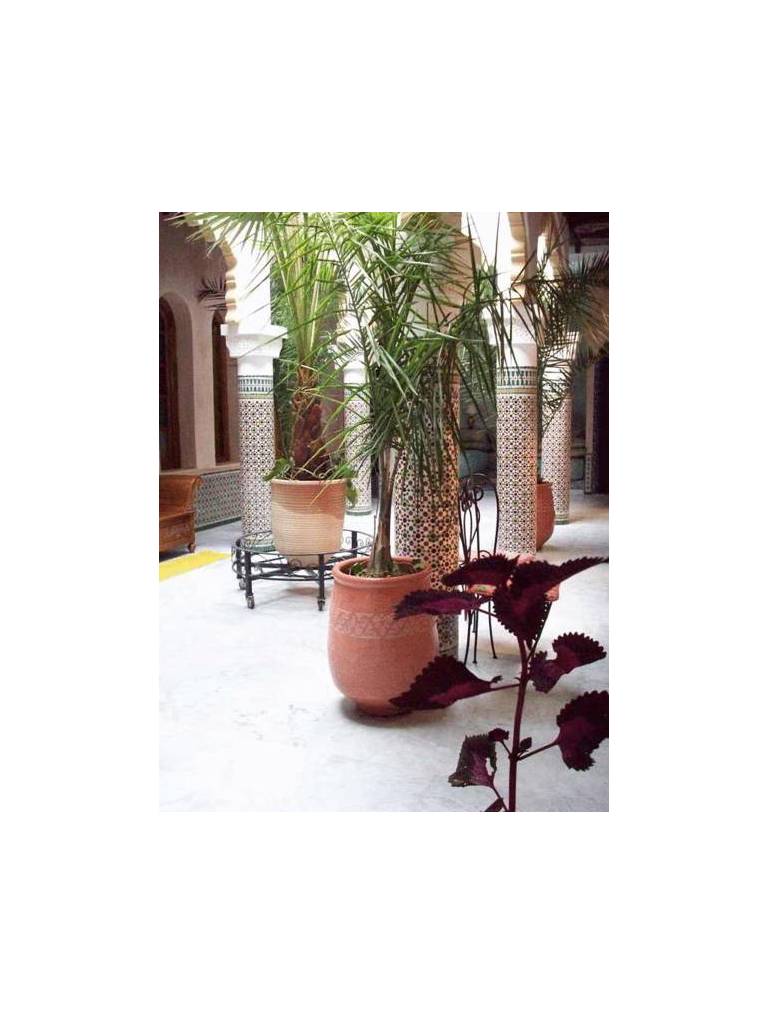 Riad Dar Alia 