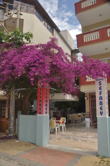 Sefabey Hotel  3* Турция, Аланья