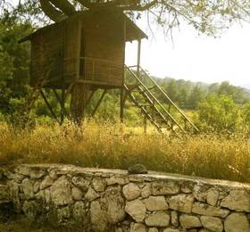 Отдых в Olympos Woods  - Турция, Олимпос