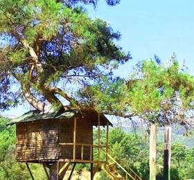 Туры в Olympos Woods  в Турции
