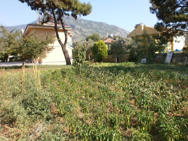 Destan Hotel 
