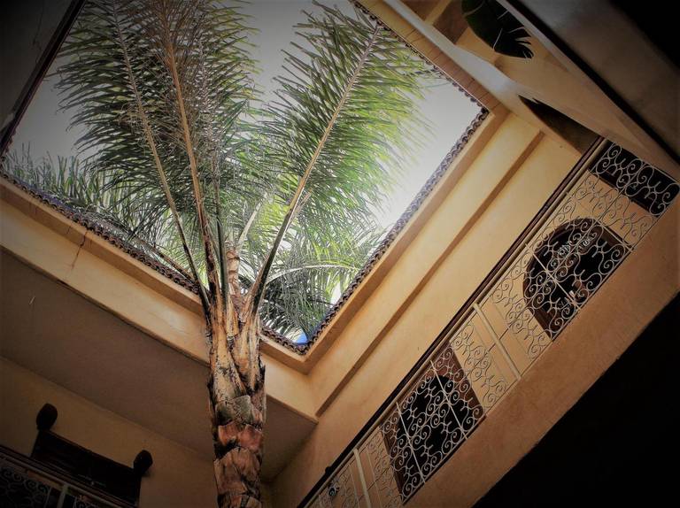 Riad Alamine