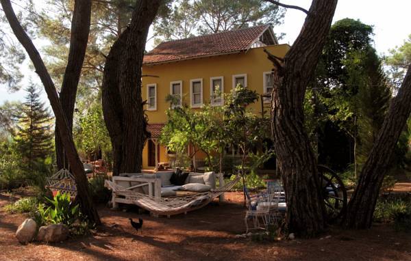 Daphne House  Турция, Олимпос