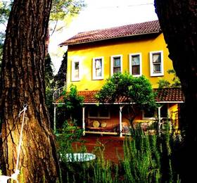 Daphne House  в Олимпосе